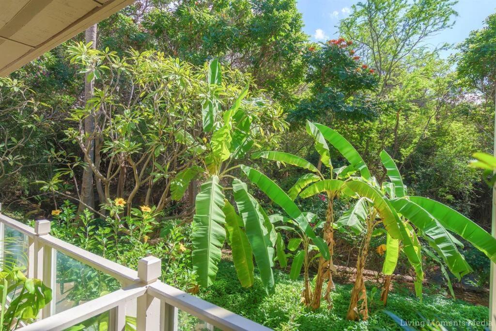 ויילי Tiki Tiki - Gorgeous Boho Beach Hideaway! מראה חיצוני תמונה